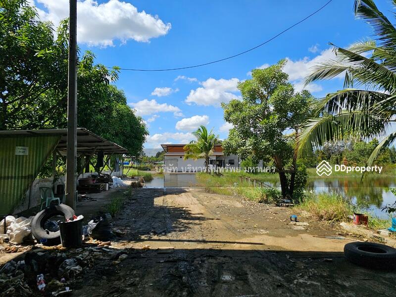 Warehouse, Factory and office in Prayakkaphume, Mahasarakram, Maha Sarakham, Lan Sakae, Phayakkhaphum Phisai, Maha Sarakham, , 2,000 sqm, Warehouse/Factory For Sale, by Nopadon Iamimsamran, 11209376 - DDproperty.com