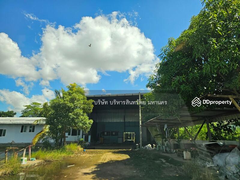 44110, มหาสารคาม, ลานสะแก, พยัคฆภูมิพิสัย, มหาสารคาม, 2,000 ตร.ม., โกดัง-โรงงาน ขาย, โดย บริษัท บริหารสินทรัพย์ มหานคร, 11209376 - DDproperty.com