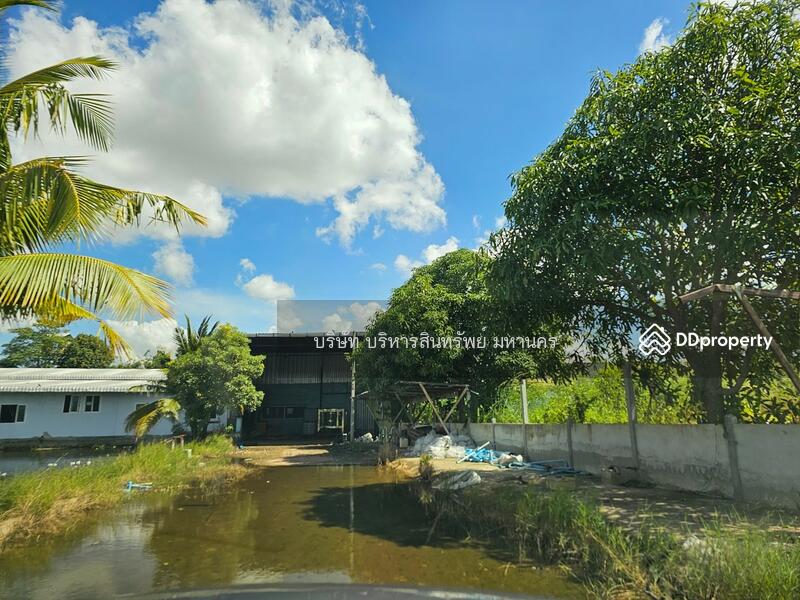 44110, มหาสารคาม, ลานสะแก, พยัคฆภูมิพิสัย, มหาสารคาม, 2,000 ตร.ม., โกดัง-โรงงาน ขาย, โดย บริษัท บริหารสินทรัพย์ มหานคร, 11209376 - DDproperty.com