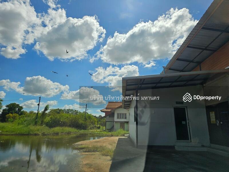 Warehouse, Factory and office in Prayakkaphume, Mahasarakram, Maha Sarakham, Lan Sakae, Phayakkhaphum Phisai, Maha Sarakham, , 2,000 sqm, Warehouse/Factory For Sale, by Nopadon Iamimsamran, 11209376 - DDproperty.com