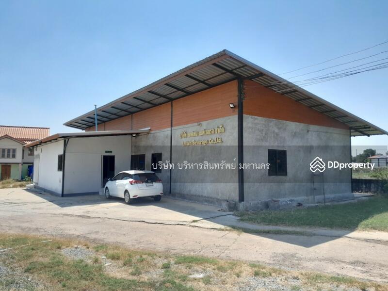 44110, มหาสารคาม, ลานสะแก, พยัคฆภูมิพิสัย, มหาสารคาม, 2,000 ตร.ม., โกดัง-โรงงาน ขาย, โดย บริษัท บริหารสินทรัพย์ มหานคร, 11209376 - DDproperty.com
