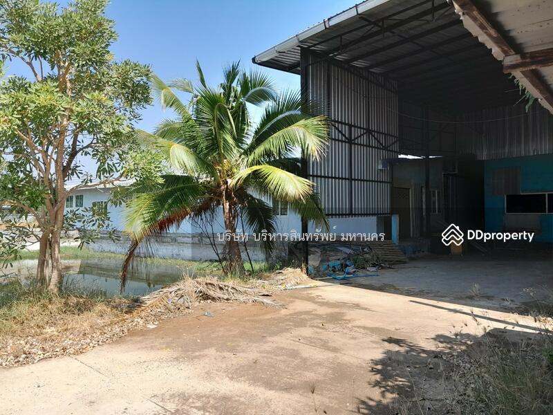 Warehouse, Factory and office in Prayakkaphume, Mahasarakram, Maha Sarakham, Lan Sakae, Phayakkhaphum Phisai, Maha Sarakham, , 2,000 sqm, Warehouse/Factory For Sale, by Nopadon Iamimsamran, 11209376 - DDproperty.com