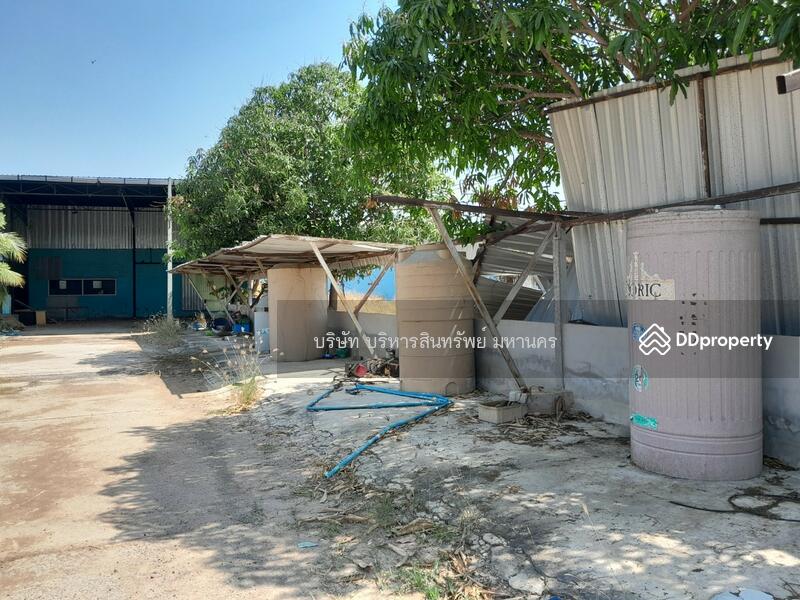 Warehouse, Factory and office in Prayakkaphume, Mahasarakram, Maha Sarakham, Lan Sakae, Phayakkhaphum Phisai, Maha Sarakham, , 2,000 sqm, Warehouse/Factory For Sale, by Nopadon Iamimsamran, 11209376 - DDproperty.com