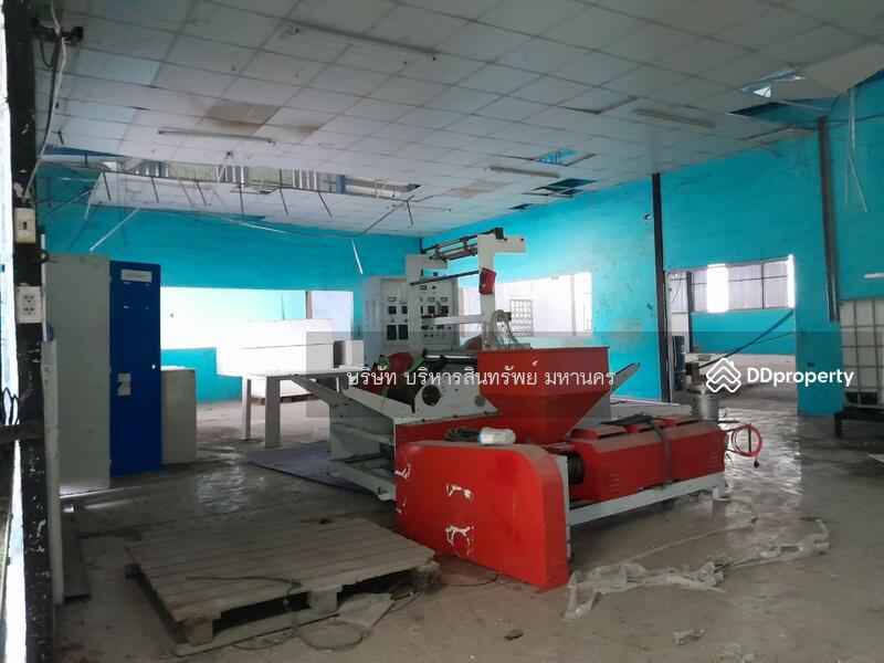 Warehouse, Factory and office in Prayakkaphume, Mahasarakram, Maha Sarakham, Lan Sakae, Phayakkhaphum Phisai, Maha Sarakham, , 2,000 sqm, Warehouse/Factory For Sale, by Nopadon Iamimsamran, 11209376 - DDproperty.com
