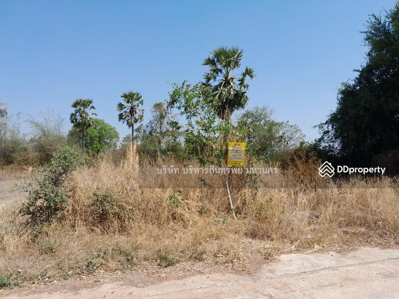 For Sale - Vacand land 484 sq.w. in Roi-ed, Roi Et
