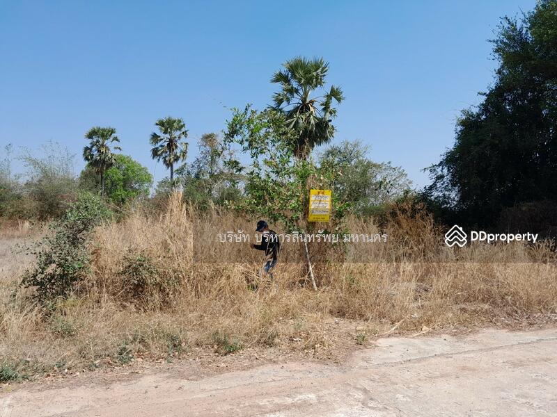 For Sale - Vacand land 484 sq.w. in Roi-ed, Roi Et