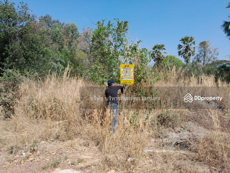 For Sale - Vacand land 484 sq.w. in Roi-ed, Roi Et