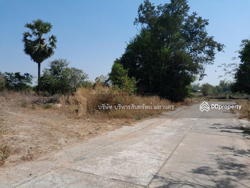 For Sale - Vacand land 484 sq.w. in Roi-ed, Roi Et