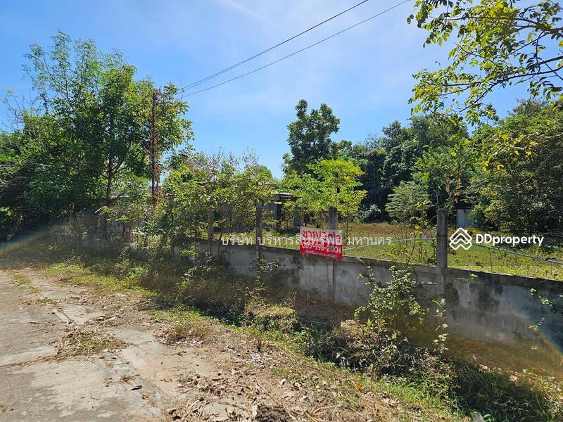ขาย - 45000, ร้อยเอ็ด