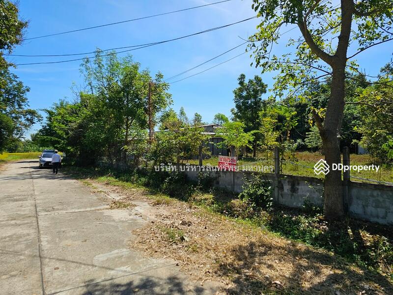 ขาย - 45000, ร้อยเอ็ด