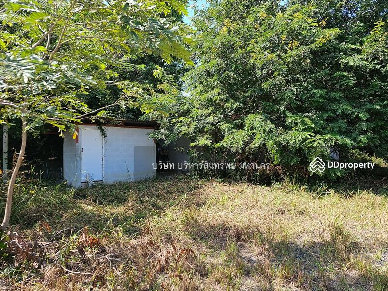 ขาย - 45000, ร้อยเอ็ด