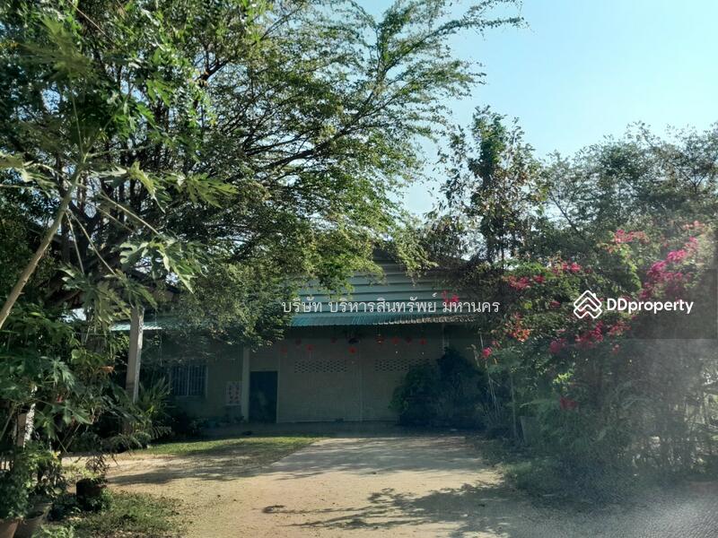 For Sale - Warehouse and factory in outer ring road Roi-ed, land size 2-1-89 rai., Roi Et