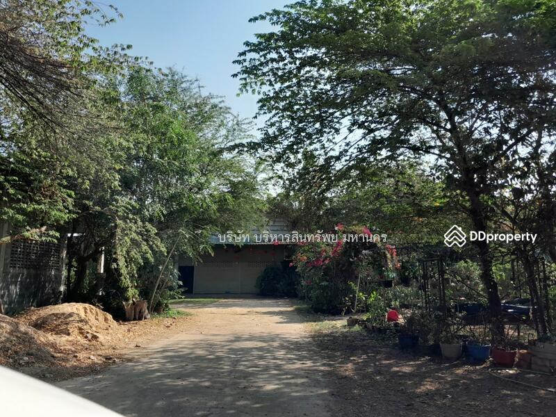 45170, ร้อยเอ็ด, 164 รอบเมืองร้อยเอ็ด, มะอึ, ธวัชบุรี, ร้อยเอ็ด, 1,200 ตร.ม., โกดัง-โรงงาน ขาย, โดย บริษัท บริหารสินทรัพย์ มหานคร, 11211035 - DDproperty.com