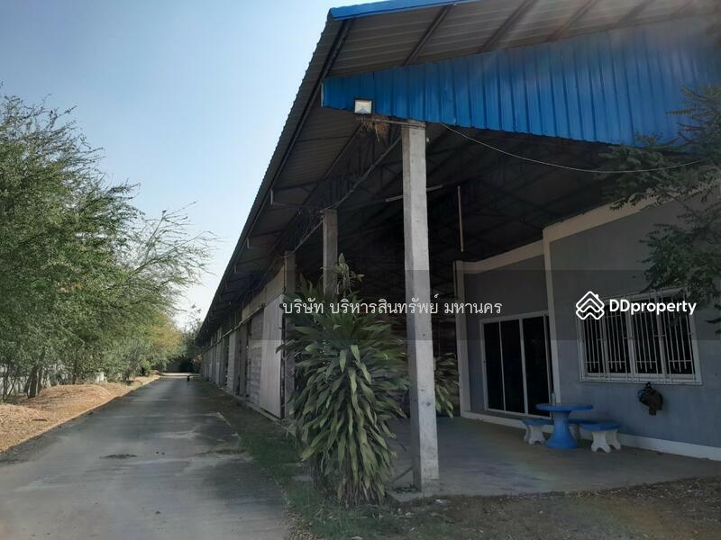 45170, ร้อยเอ็ด, 164 รอบเมืองร้อยเอ็ด, มะอึ, ธวัชบุรี, ร้อยเอ็ด, 1,200 ตร.ม., โกดัง-โรงงาน ขาย, โดย บริษัท บริหารสินทรัพย์ มหานคร, 11211035 - DDproperty.com