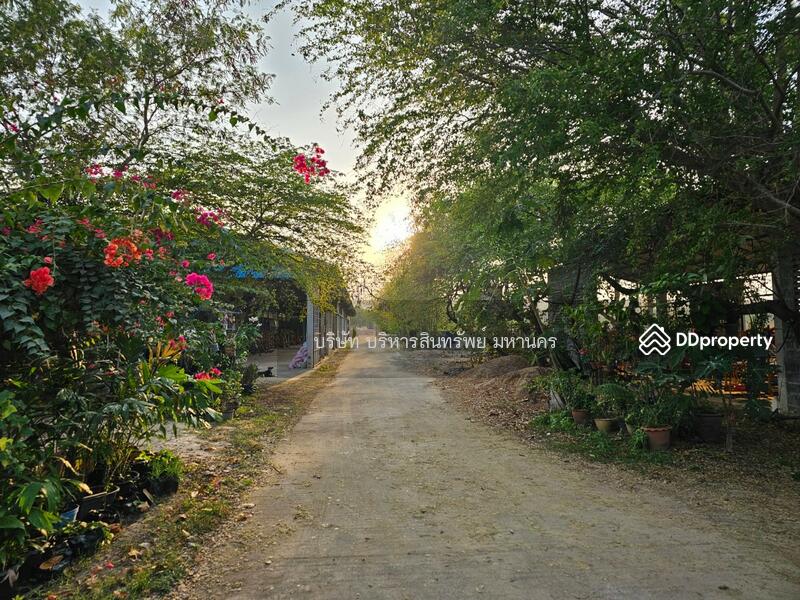 For Sale - Warehouse and factory in outer ring road Roi-ed, land size 2-1-89 rai., Roi Et