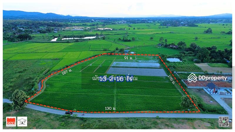 ขายที่ดิน 13-2-16 ไร่ ใกล้บายพาสตะวันตกเชียงราย บ้านสันสลี ต.ป่าอ้อดอนชัย, แยกสันทราบน้อย, เชียงราย, ถนนเลี่ยงเมืองฝั่งตะวันตก เชียงราย, ป่าอ้อดอนชัย, เมืองเชียงราย, เชียงราย, 21,664 ตร.ม., ที่ดิน ขาย, โดย ฌัชษชี ฌัชปภาส์มณ, 11211637 - DDproperty.com