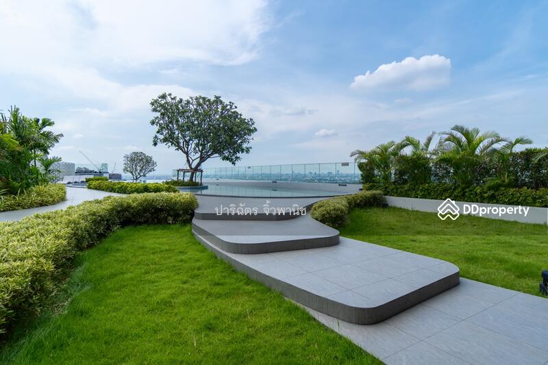 The Tree Sukhumvit 71-Ekamai : เดอะทรี สุขุมวิท 71 – เอกมัย, กรุงเทพ, 1269 ถ. สุขุมวิท 71, สวนหลวง, สวนหลวง, กรุงเทพ, 31 ตร.ม., คอนโด ขาย, โดย ปาริฉัตร จิ้วพานิช, 11211852 - DDproperty.com