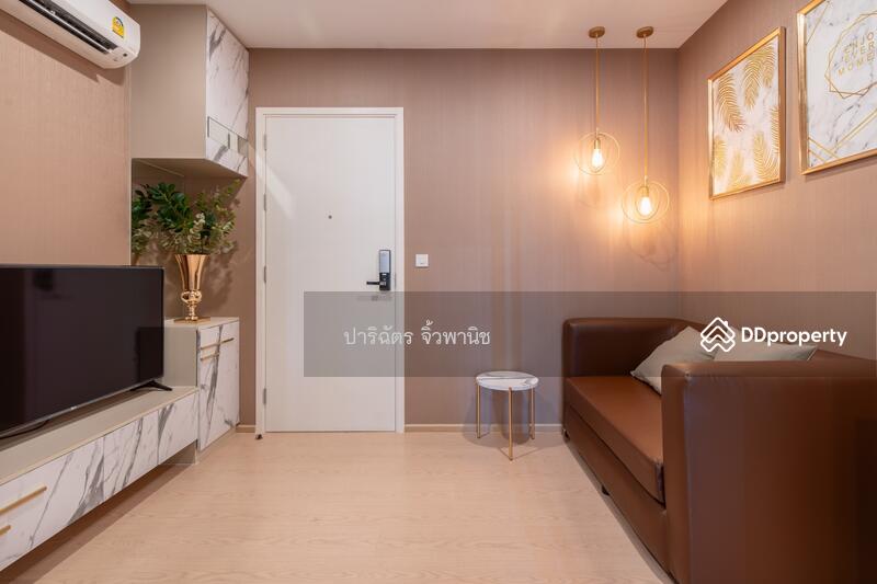 The Tree Sukhumvit 71-Ekamai, Bangkok, 1269 Sukhumvit 71 Road, Suan Luang, Suan Luang, Bangkok, 1 Bedroom, 31 sqm, Condo For Sale, by Parichat Juwpanit, 11211852 - DDproperty.com