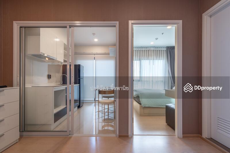 The Tree Sukhumvit 71-Ekamai, Bangkok, 1269 Sukhumvit 71 Road, Suan Luang, Suan Luang, Bangkok, 1 Bedroom, 31 sqm, Condo For Sale, by Parichat Juwpanit, 11211852 - DDproperty.com