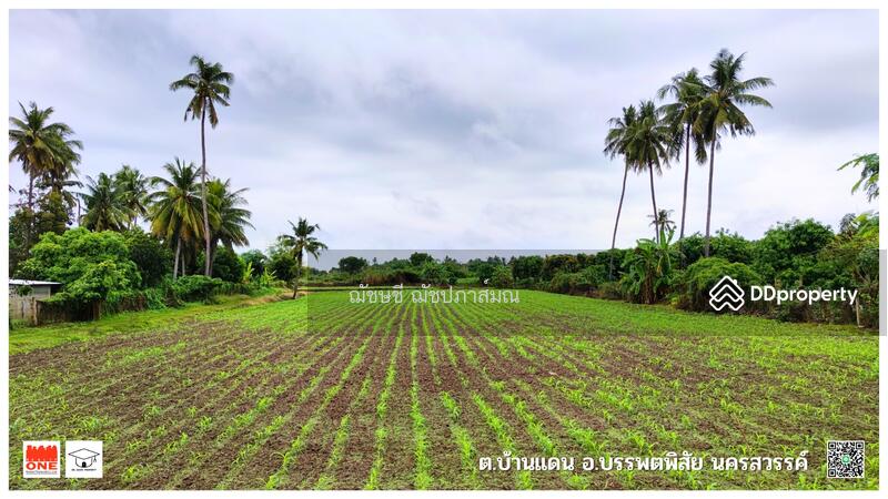 ขายที่ดินติดแม่น้ำปิง 13-3-72 ไร่ มีที่งอกเพิ่มเติม เกือบ 18 ไร่ ต.บ้านแดน อ.บรรพตพิสัย จ.นครสวรรค์, นครสวรรค์, ทางหลวง 1073 สายหนองสังข์-โพธิ์ไทรงาม, บ้านแดน, บรรพตพิสัย, นครสวรรค์, 22,288 ตร.ม., ที่ดิน ขาย, โดย ฌัชษชี ฌัชปภาส์มณ, 11213697 - DDproperty.com