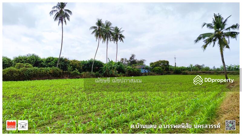 ขายที่ดินติดแม่น้ำปิง 13-3-72 ไร่ มีที่งอกเพิ่มเติม เกือบ 18 ไร่ ต.บ้านแดน อ.บรรพตพิสัย จ.นครสวรรค์, นครสวรรค์, ทางหลวง 1073 สายหนองสังข์-โพธิ์ไทรงาม, บ้านแดน, บรรพตพิสัย, นครสวรรค์, 22,288 ตร.ม., ที่ดิน ขาย, โดย ฌัชษชี ฌัชปภาส์มณ, 11213697 - DDproperty.com