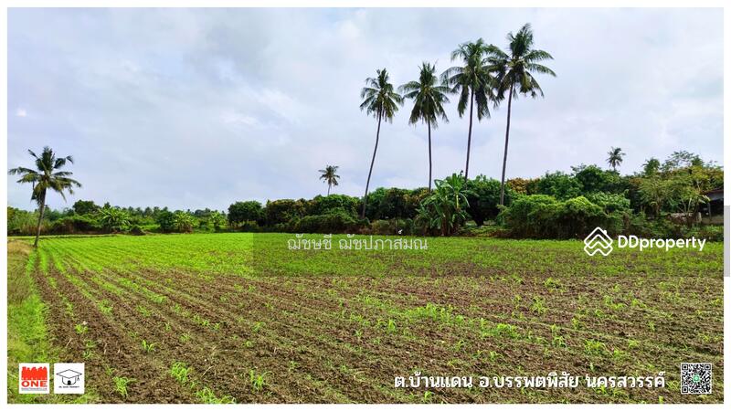 ขายที่ดินติดแม่น้ำปิง 13-3-72 ไร่ มีที่งอกเพิ่มเติม เกือบ 18 ไร่ ต.บ้านแดน อ.บรรพตพิสัย จ.นครสวรรค์, Nakhon Sawan, ทางหลวง 1073 สายหนองสังข์-โพธิ์ไทรงาม, Ban Daen, Banphot Phisai, Nakhon Sawan, , 22,288 sqm, Land For Sale, by ฌัชษชี ฌัชปภาส์มณ, 11213697 - DDproperty.com