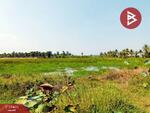 ที่ดินบางจาก เพชรบุรี, เพชรบุรี