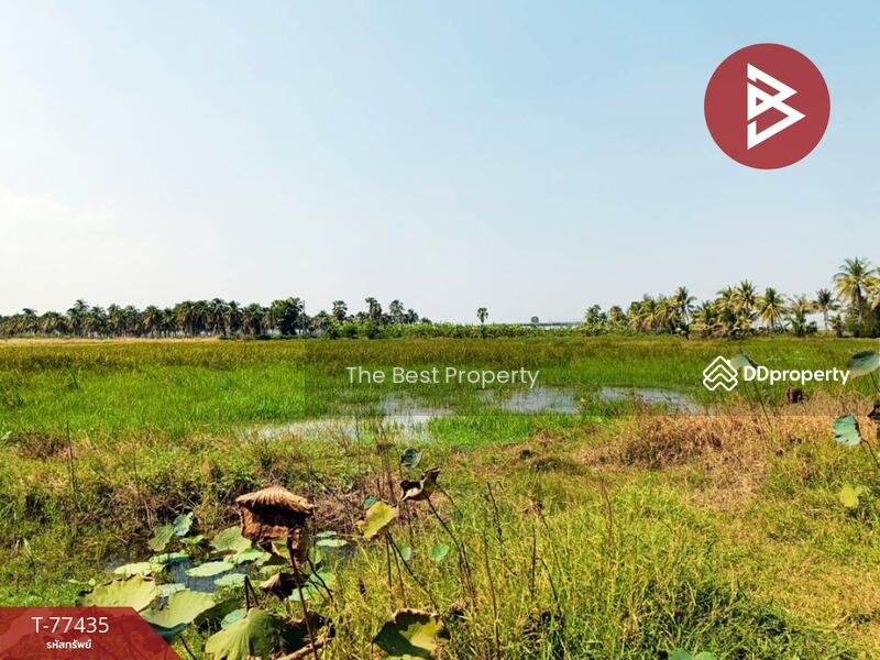 ขาย - ที่ดินบางจาก เพชรบุรี, เพชรบุรี