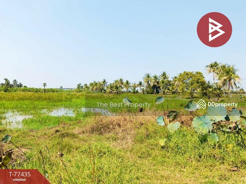 ขาย - ที่ดินบางจาก เพชรบุรี, เพชรบุรี