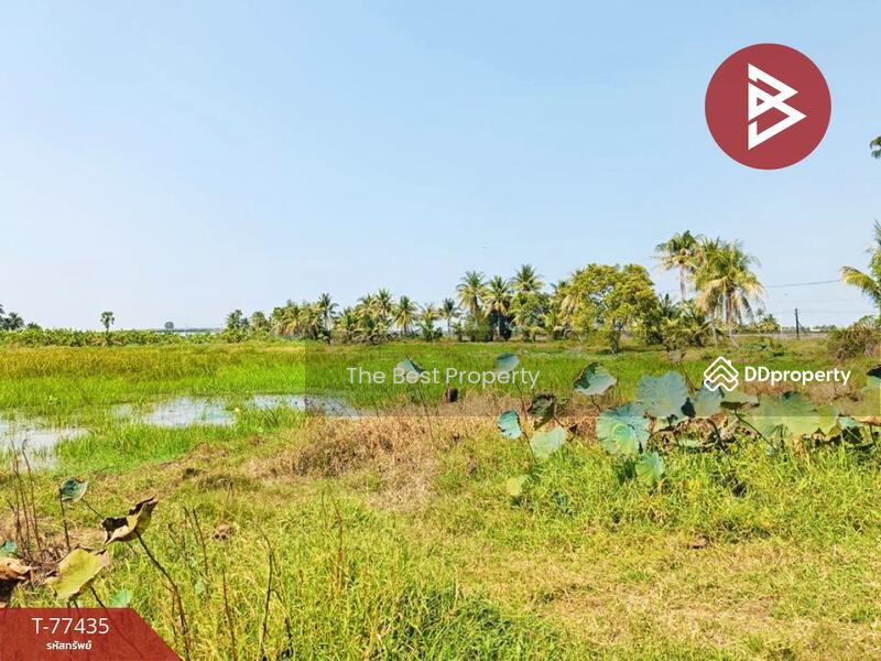ขาย - ที่ดินบางจาก เพชรบุรี, เพชรบุรี
