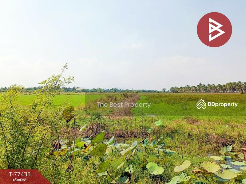ขาย - ที่ดินบางจาก เพชรบุรี, เพชรบุรี