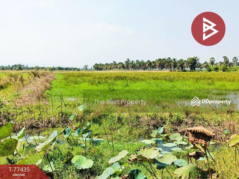 ขาย - ที่ดินบางจาก เพชรบุรี, เพชรบุรี