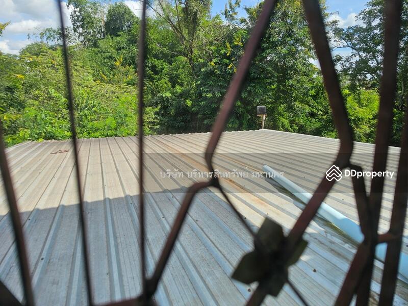 For Sale - Shophouse in Sawangdanding, Sakolnakorn., Sakon Nakhon