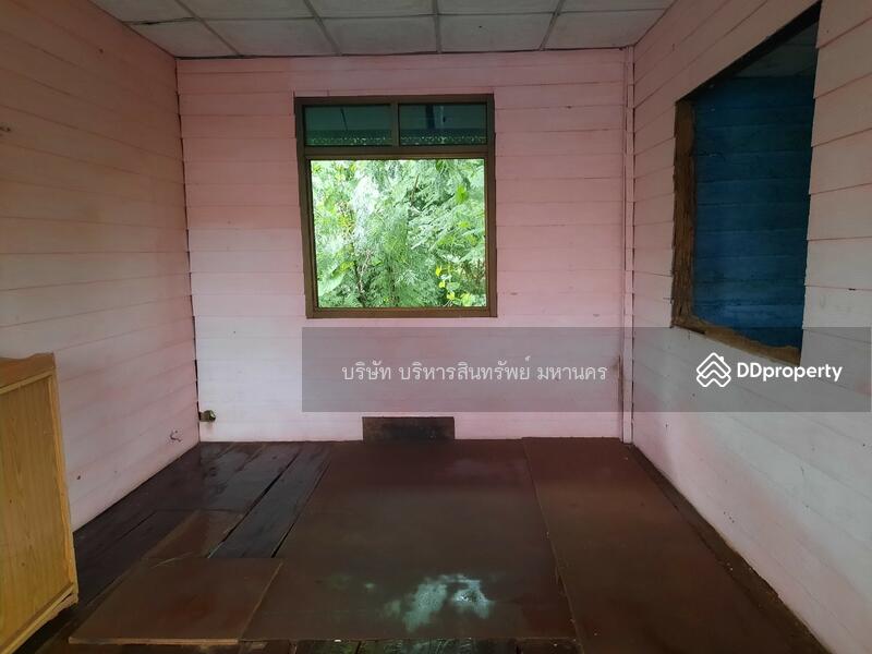 For Sale - Detached house in Sriboonruang, Nongbualamphu. Land size 187 sq.w., Nong Bua Lam Phu
