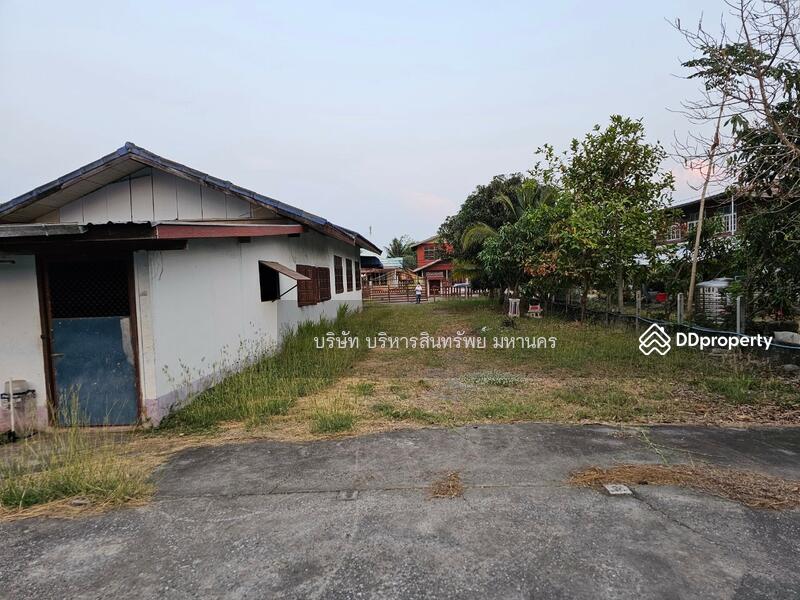 ขาย - 39170, หนองบัวลำภู