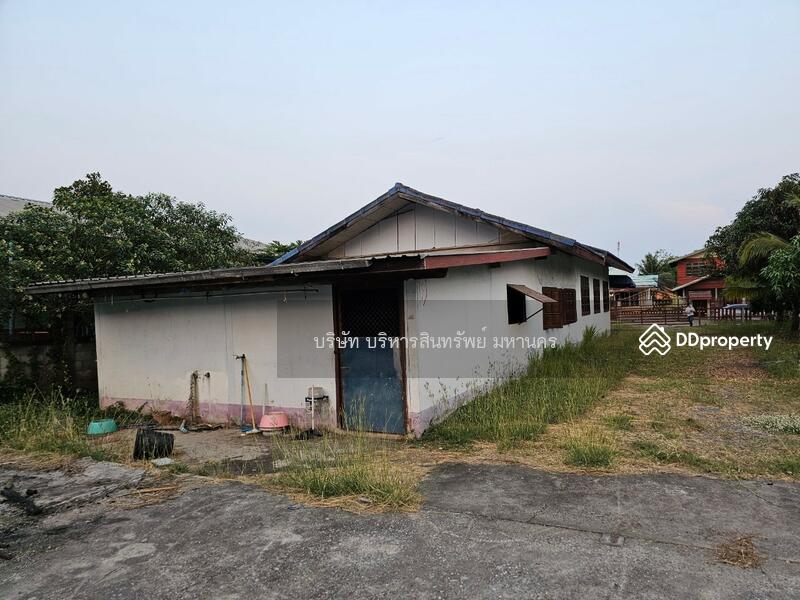 ขาย - 39170, หนองบัวลำภู