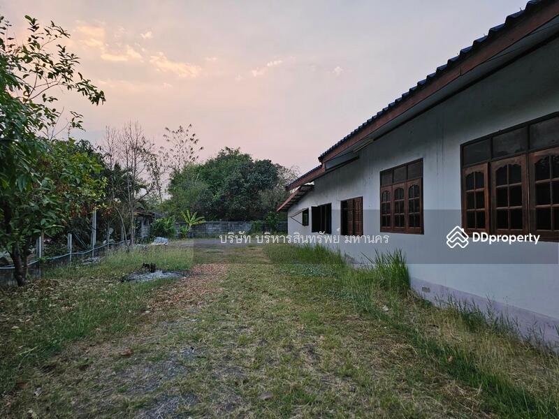 ขาย - 39170, หนองบัวลำภู