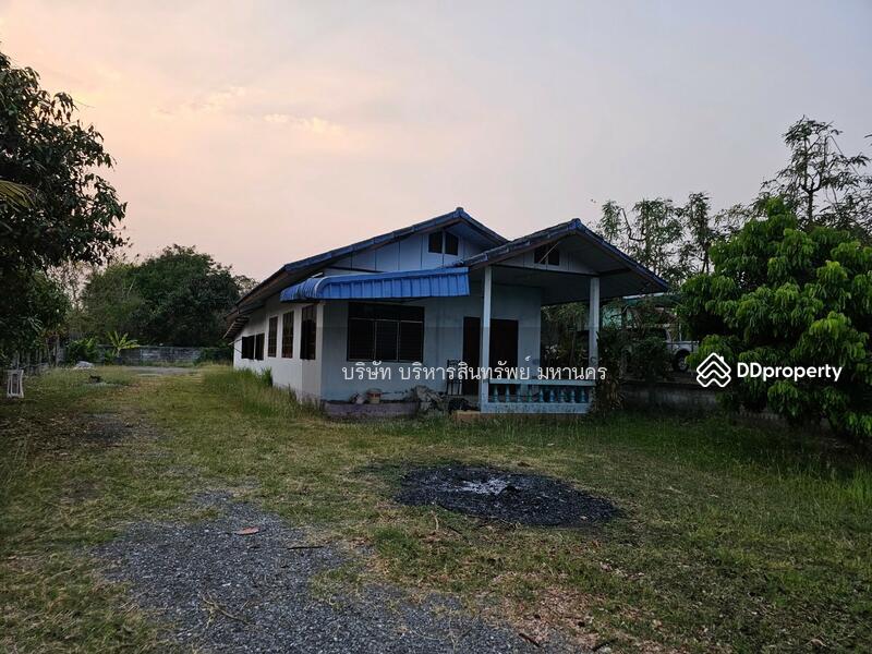 Detached house in Naklang, Nongbualamphu, 230 sq.w., Nong Bua Lam Phu, Na Klang, Na Klang, Nong Bua Lam Phu, 2 Bedrooms, 324 sqm, Single Detached House For Sale, by Nopadon Iamimsamran, 11215000 - DDproperty.com