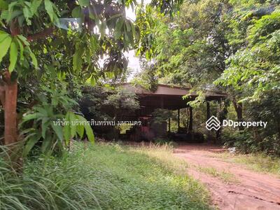 ขาย - บ้านพร้อมที่ดิน 158 วา ต.จิกดู อ.หัวตะพาน จ.อำนาจเจริญ, อำนาจเจริญ