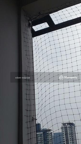 Chateau In Town Sukhumvit 62/1 : ชาโตว์ อินทาวน์ สุขุมวิท 62/1, กรุงเทพ, 7391 ซอยสุขุมวิท 62/1 ถนนสุขุมวิท, บางจาก, พระโขนง, กรุงเทพ, 30 ตร.ม., คอนโด ให้เช่า, โดย ธนัชสร หงษ์มานพ, 11215898 - DDproperty.com