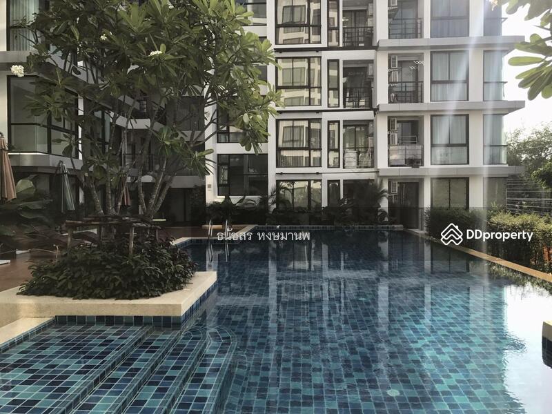 Chateau In Town Sukhumvit 62/1 : ชาโตว์ อินทาวน์ สุขุมวิท 62/1, กรุงเทพ, 7391 ซอยสุขุมวิท 62/1 ถนนสุขุมวิท, บางจาก, พระโขนง, กรุงเทพ, 30 ตร.ม., คอนโด ให้เช่า, โดย ธนัชสร หงษ์มานพ, 11215898 - DDproperty.com