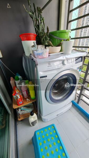 @City Condominium, Bangkok, 169 Sukhumvit Road, Bang Chak, Phra Khanong, Bangkok, 1 Bedroom, 35 sqm, Condo For Rent, by อนงค์ลักษณ์ ทรงประโคน, 11215909 - DDproperty.com