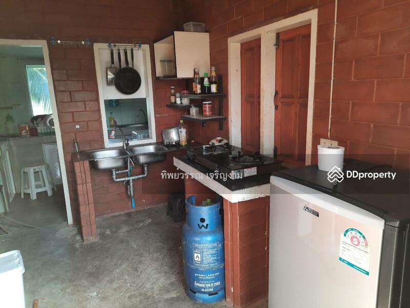 For Sale - Sell 4 Houses on 6 rai land with full furnished Mae Jan, Chiang Rai, price 6.9 MB., Chiang Rai