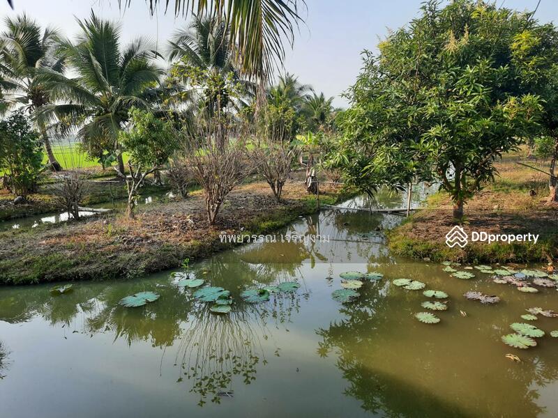 For Sale - Sell 4 Houses on 6 rai land with full furnished Mae Jan, Chiang Rai, price 6.9 MB., Chiang Rai