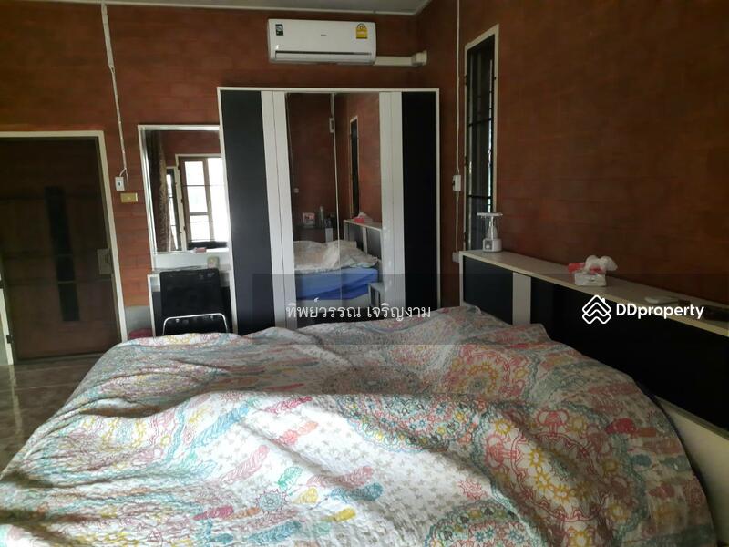 For Sale - Sell 4 Houses on 6 rai land with full furnished Mae Jan, Chiang Rai, price 6.9 MB., Chiang Rai