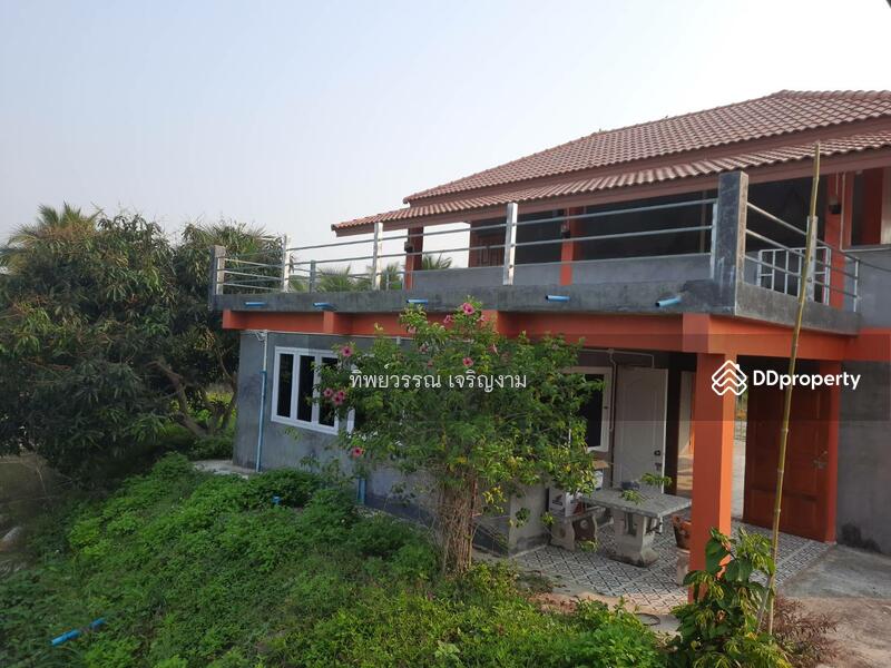 For Sale - Sell 4 Houses on 6 rai land with full furnished Mae Jan, Chiang Rai, price 6.9 MB., Chiang Rai