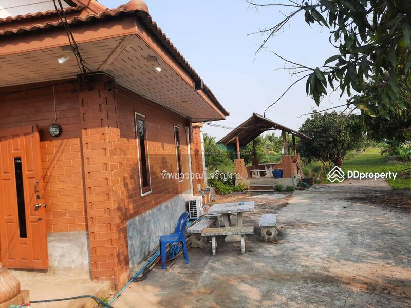 For Sale - Sell 4 Houses on 6 rai land with full furnished Mae Jan, Chiang Rai, price 6.9 MB., Chiang Rai