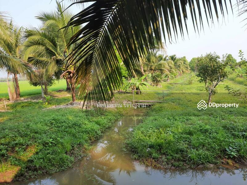 For Sale - Sell 4 Houses on 6 rai land with full furnished Mae Jan, Chiang Rai, price 6.9 MB., Chiang Rai