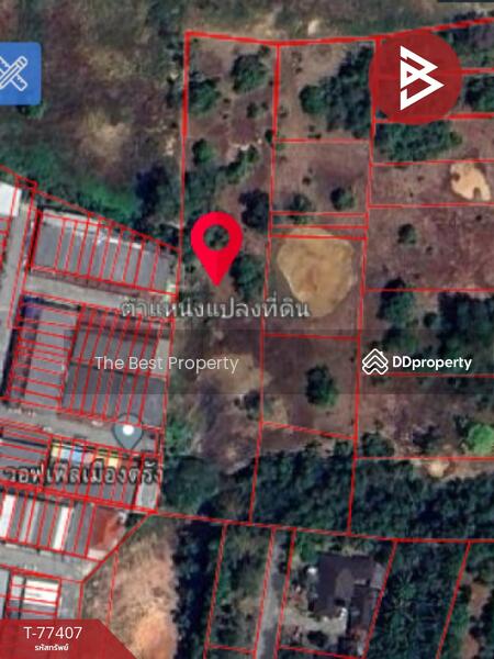 ขาย - ที่ดินทับเที่ยง ตรัง, ตรัง