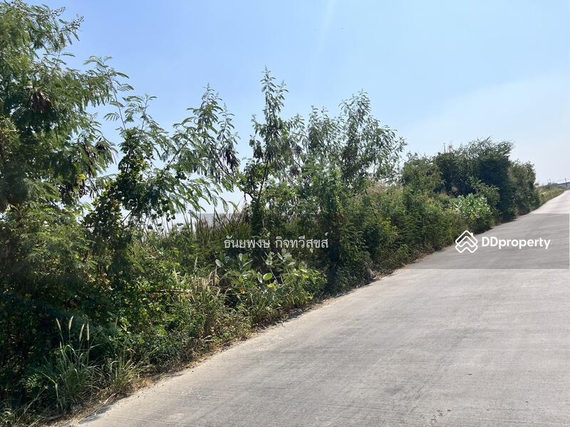 For Sale - วังน้อย อยุธยา, Phra Nakhon Si Ayutthaya